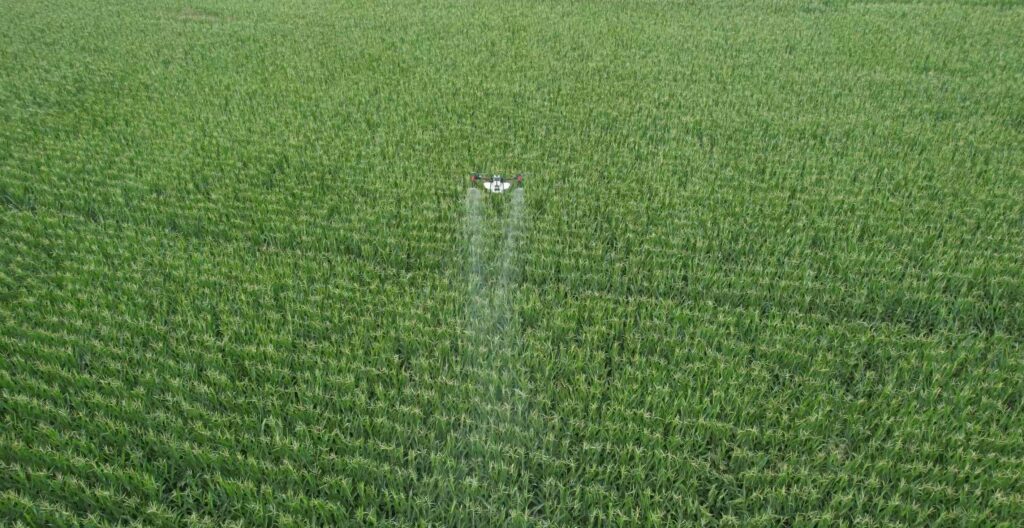 Fumigación con drones en cultivo extensivo: resumen práctico (2026) 2 Cultivo extensivo fumigacion con drones 1024x528 1
