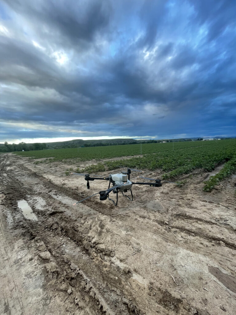 Las Ventajas de Usar Drones agrícolas en el Cultivo de Cereal para Combatir Hongos 1 IMG 4557 scaled 1