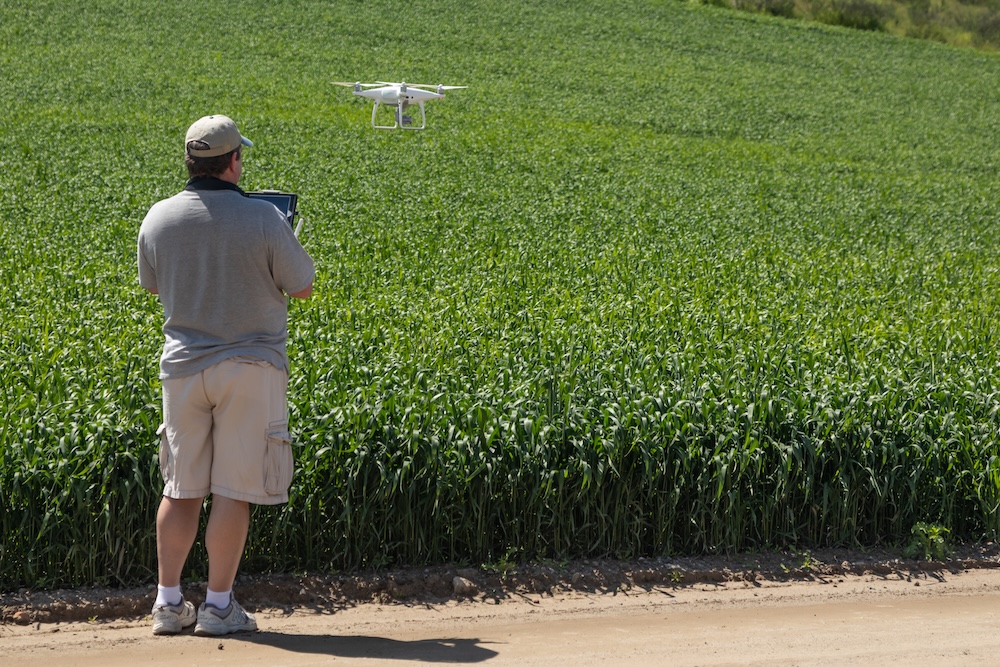 deteccion de plagas por dron