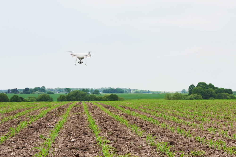 siembra por dron