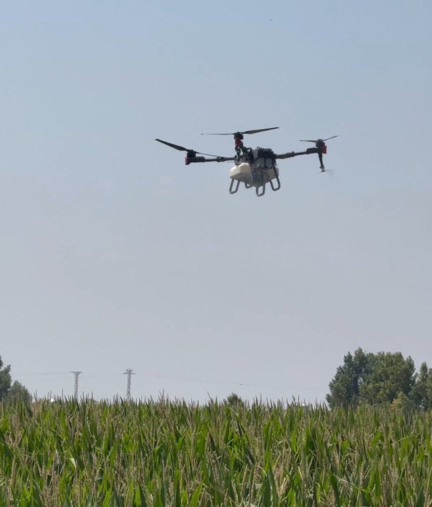 plaga arana roja con dron