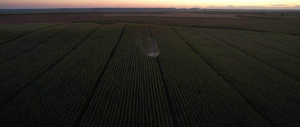 tratamiento plaga de arana roja con dron
